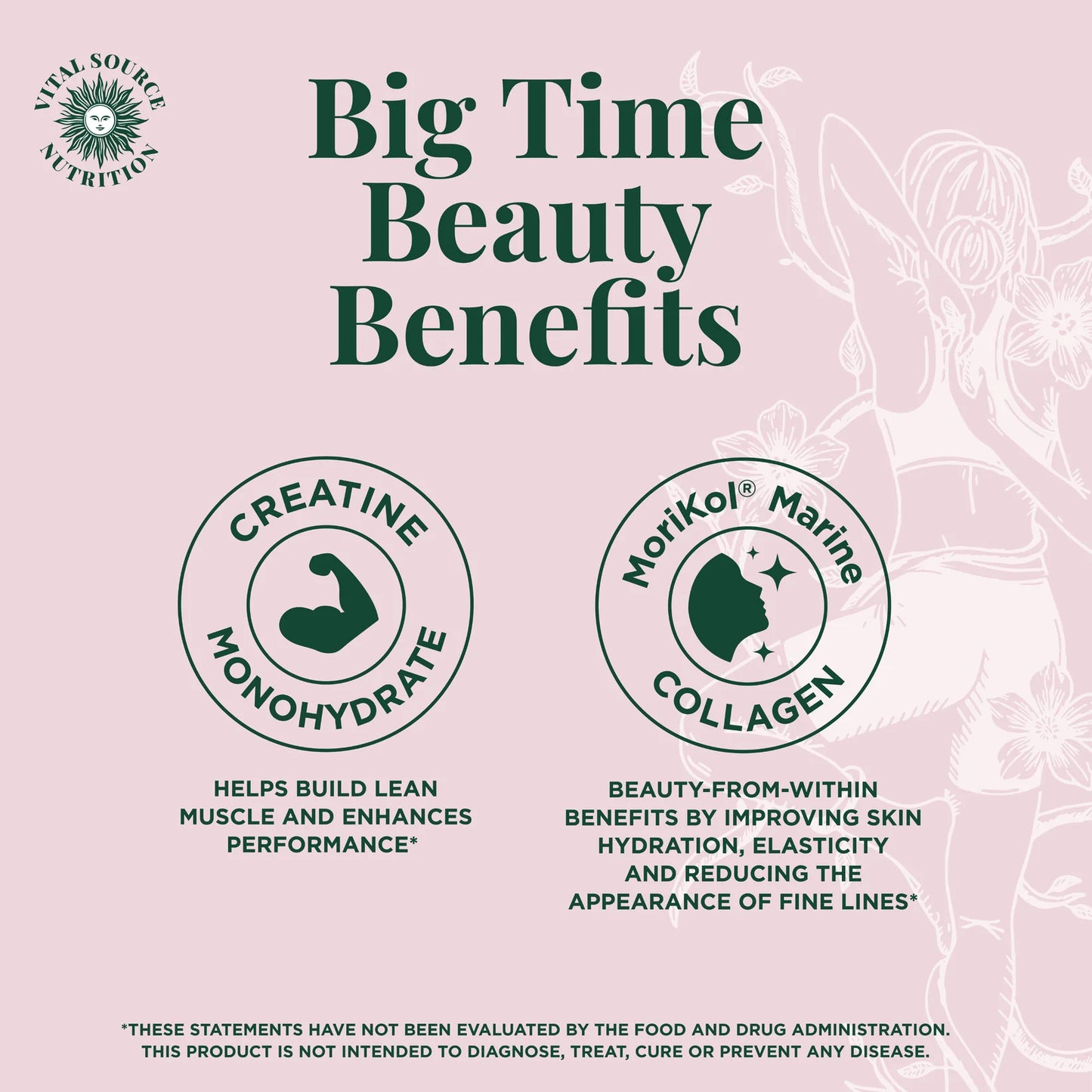 Creatine & Collagen Sticks